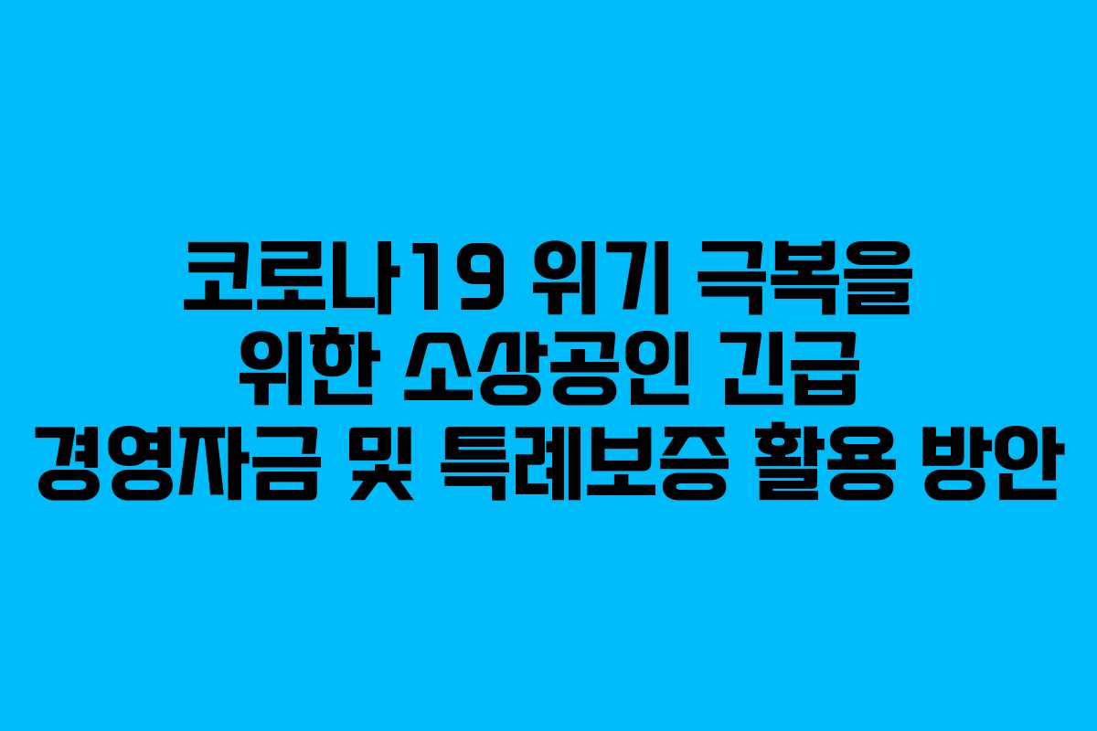 코로나19 위기 극복을 위한 소상공인 긴급 경영자금 및 특례보증 활용 방안
