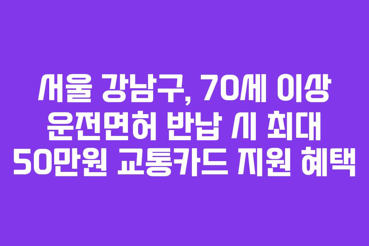 서울 강남구, 70세 이상 운전면허 반납 시 최대 50만원 교통카드 지원 혜택