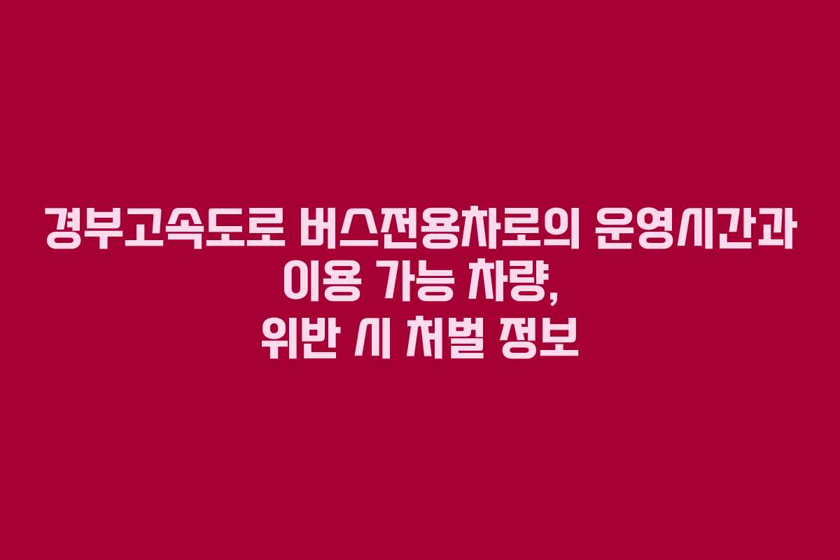 경부고속도로 버스전용차로의 운영시간과 이용 가능 차량, 위반 시 처벌 정보