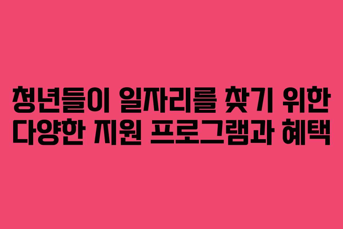 청년들이 일자리를 찾기 위한 다양한 지원 프로그램과 혜택