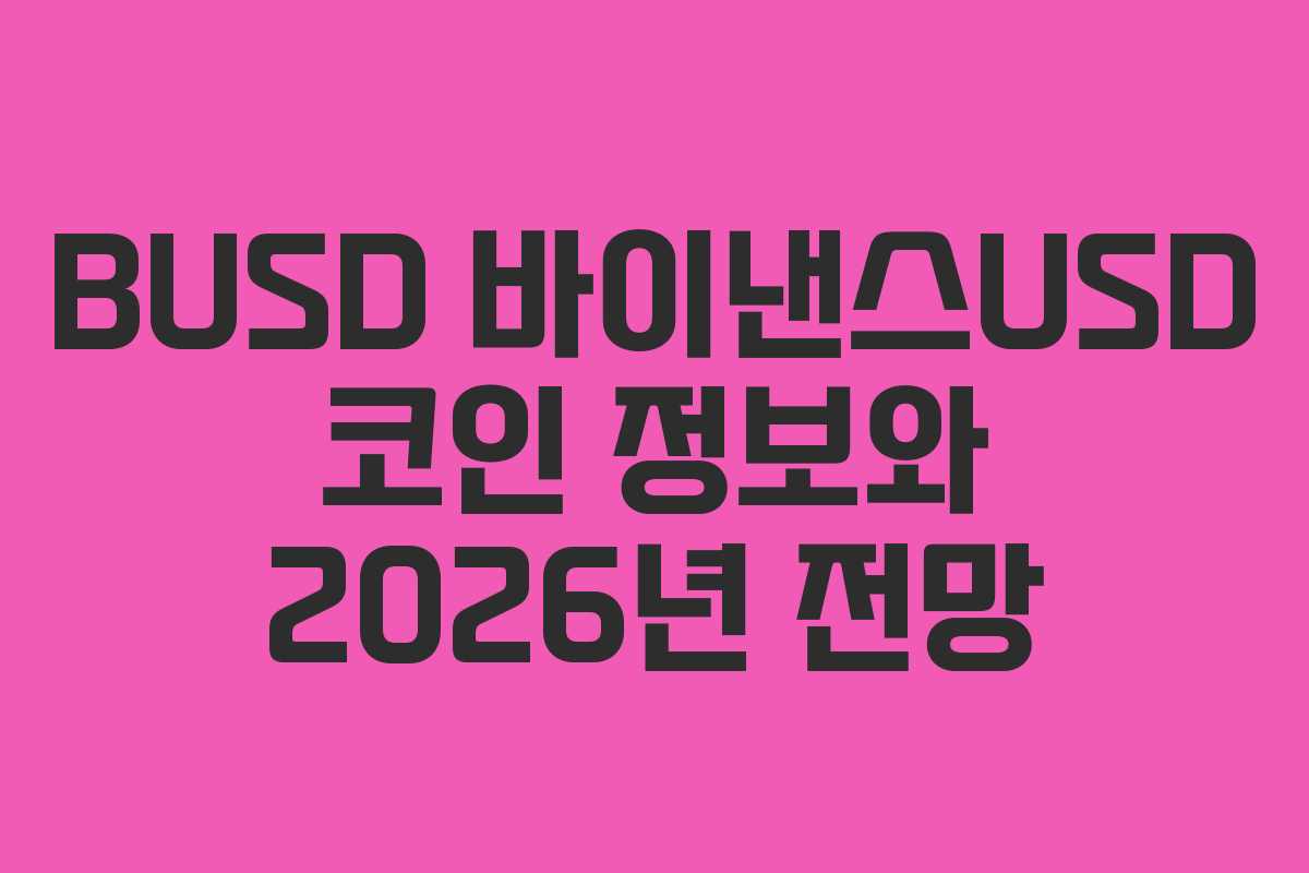 BUSD 바이낸스USD 코인 정보와 2026년 전망