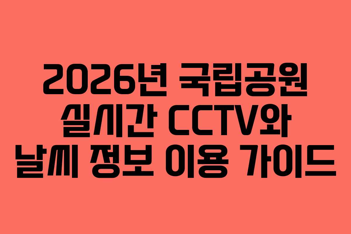2026년 국립공원 실시간 CCTV와 날씨 정보 이용 가이드
