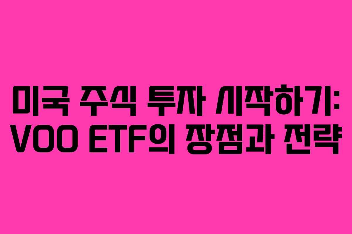 미국 주식 투자 시작하기: VOO ETF의 장점과 전략
