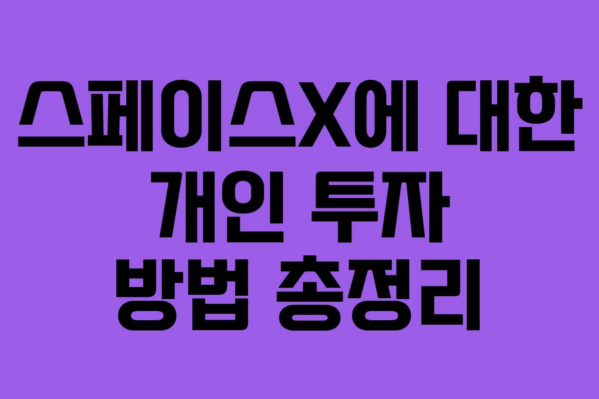 스페이스X에 대한 개인 투자 방법 총정리