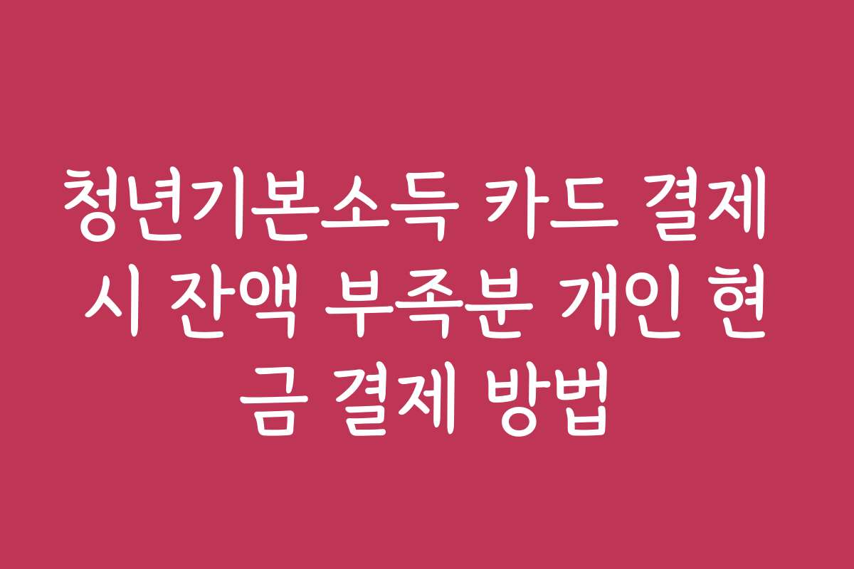 청년기본소득 카드 결제 시 잔액 부족분 개인 현금 결제 방법