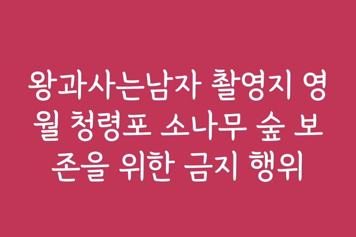 왕과사는남자 촬영지 영월 청령포 소나무 숲 보존을 위한 금지 행위