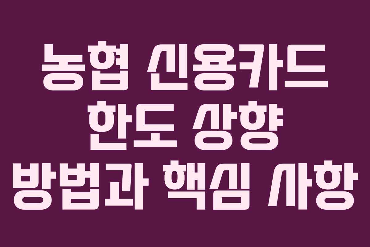 농협 신용카드 한도 상향 방법과 핵심 사항