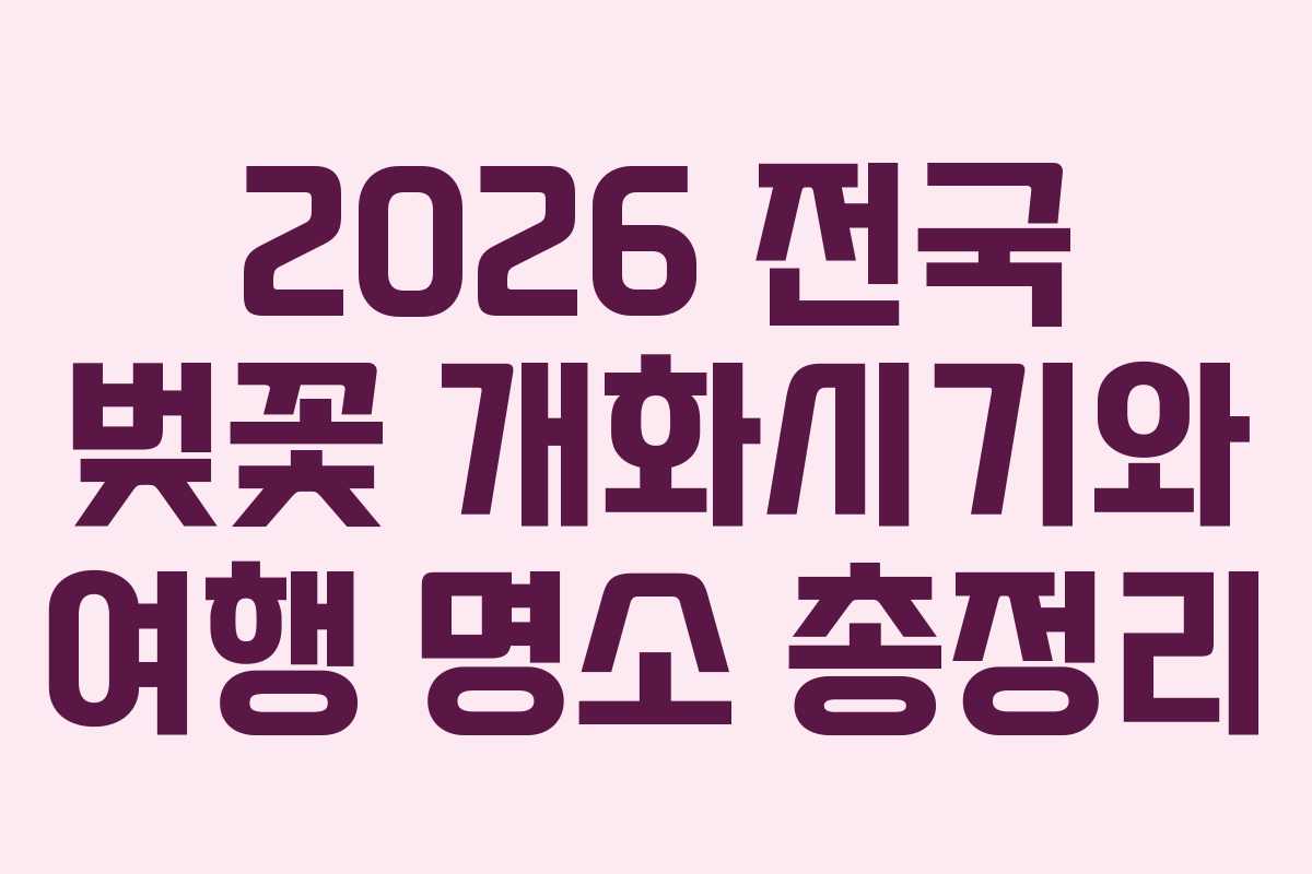 2026 전국 벚꽃 개화시기와 여행 명소 총정리