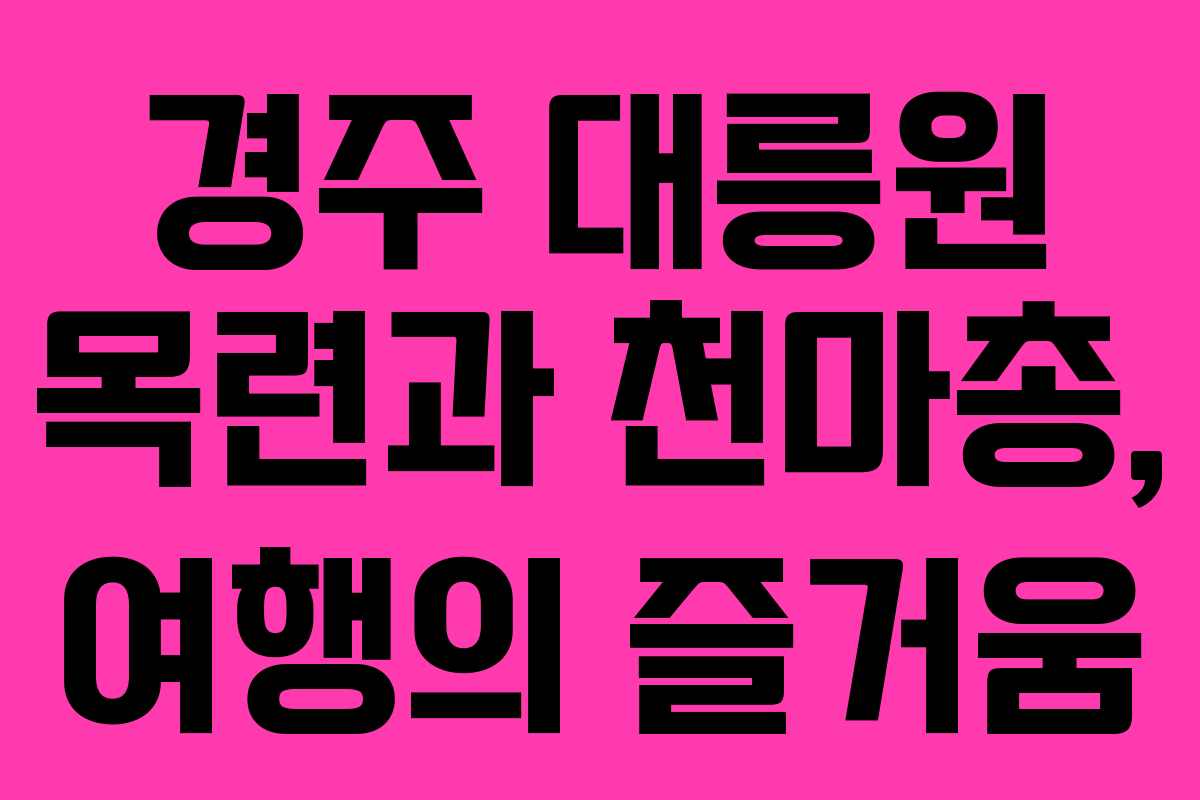 경주 대릉원 목련과 천마총, 여행의 즐거움