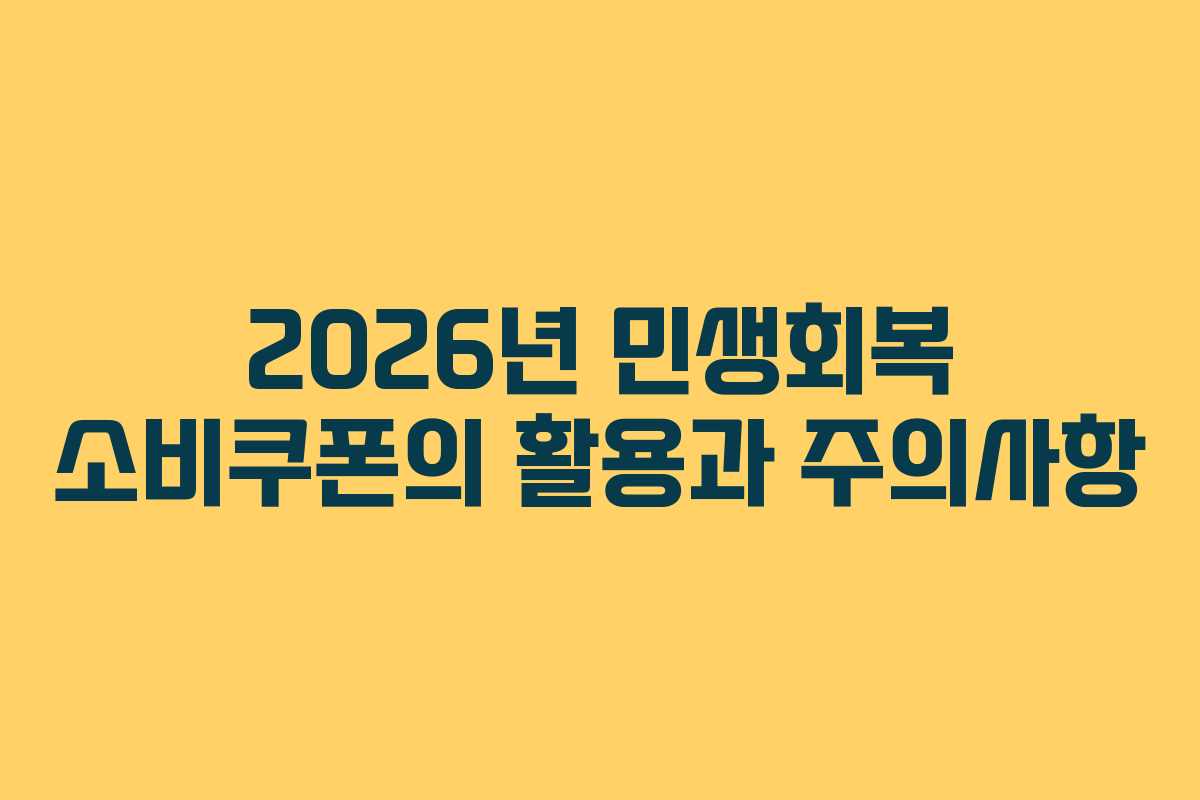 2026년 민생회복 소비쿠폰의 활용과 주의사항