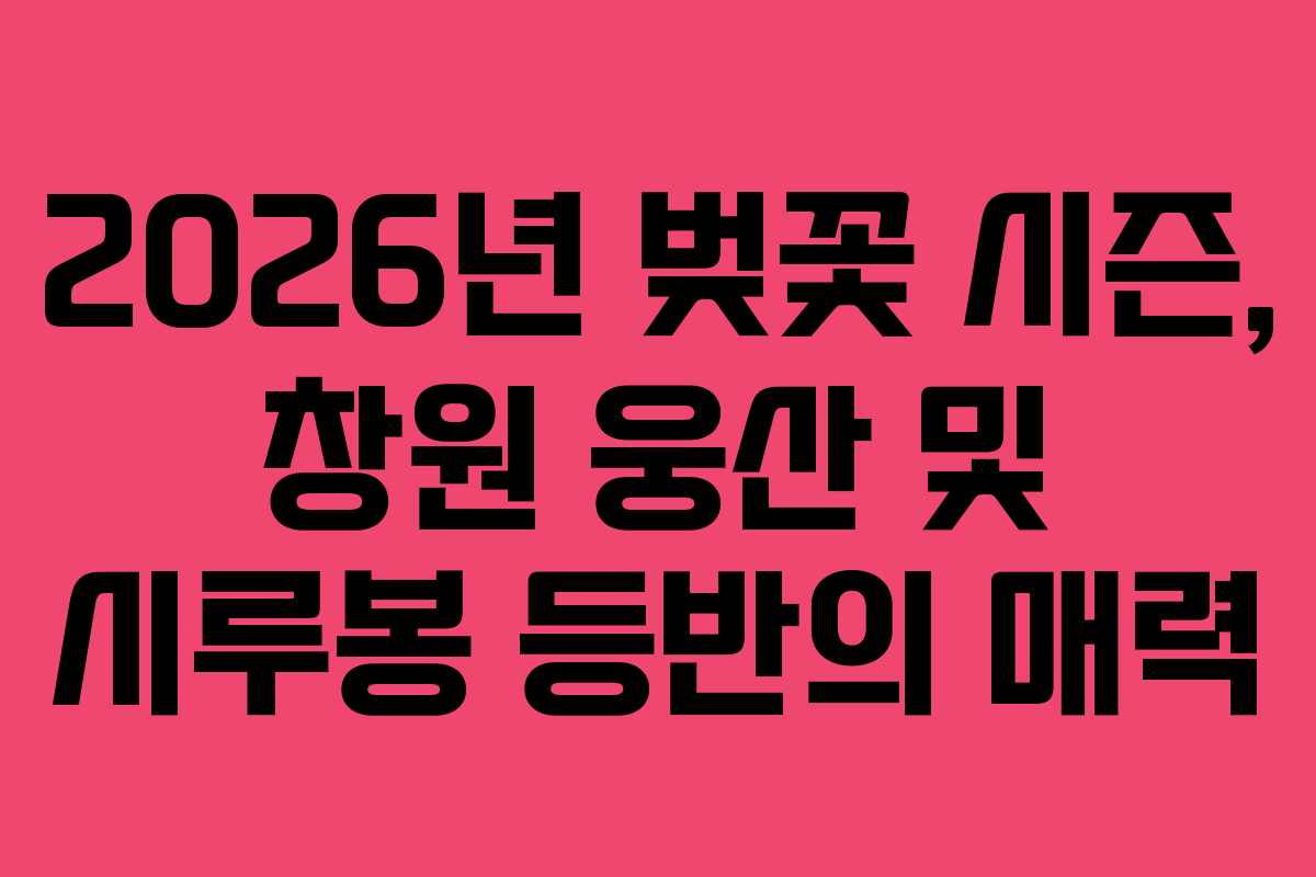 2026년 벚꽃 시즌, 창원 웅산 및 시루봉 등반의 매력