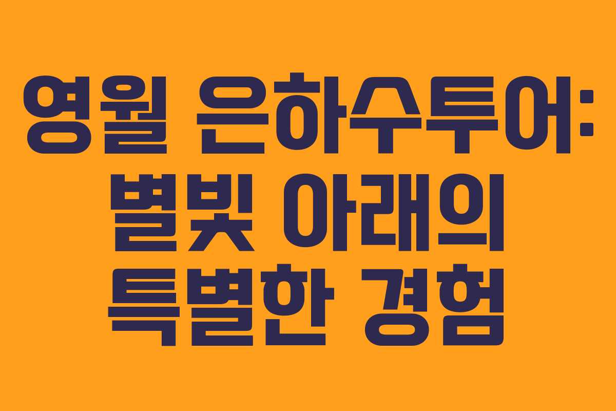 영월 은하수투어: 별빛 아래의 특별한 경험