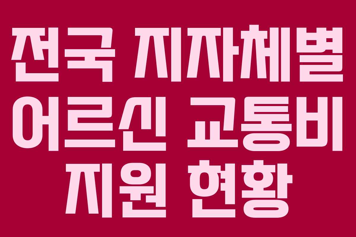 전국 지자체별 어르신 교통비 지원 현황
