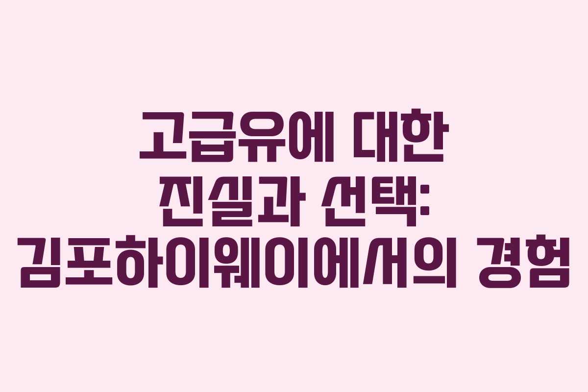 고급유에 대한 진실과 선택: 김포하이웨이에서의 경험