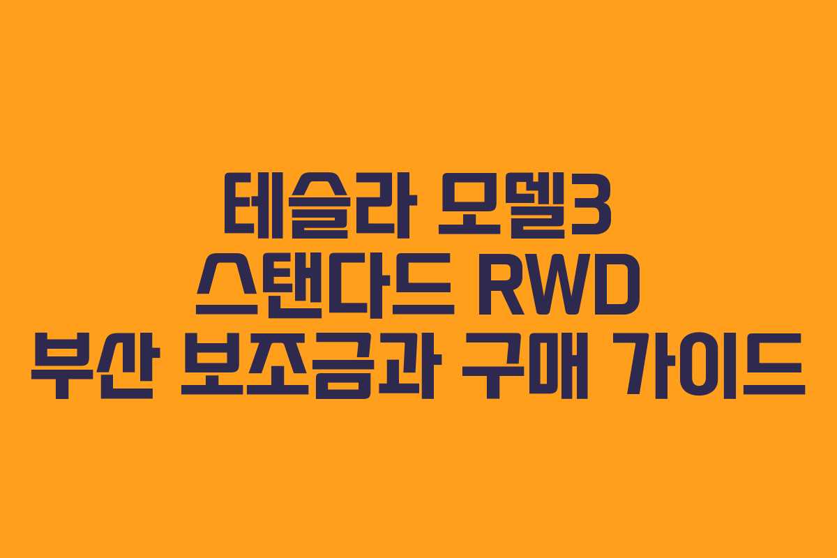 테슬라 모델3 스탠다드 RWD 부산 보조금과 구매 가이드