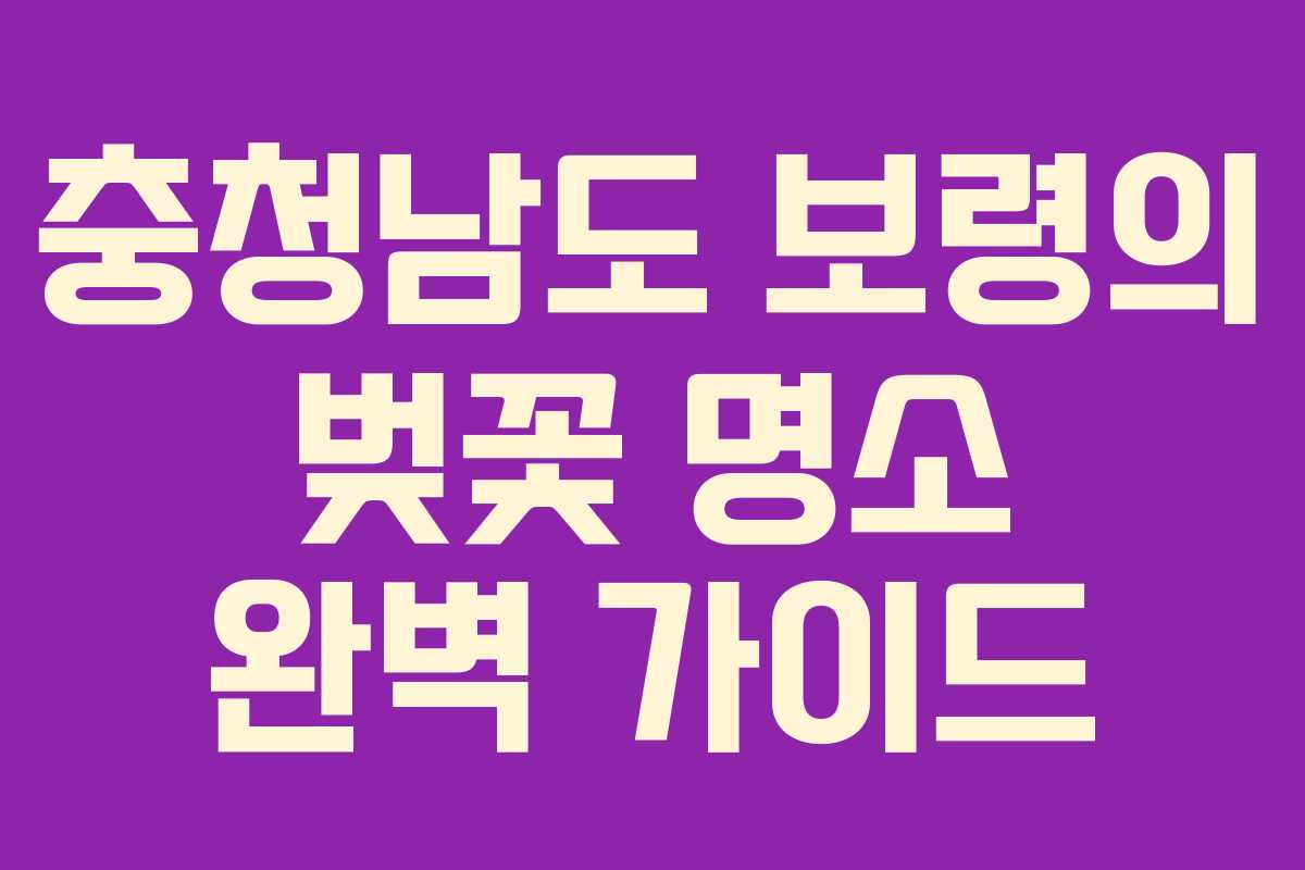 충청남도 보령의 벚꽃 명소 완벽 가이드