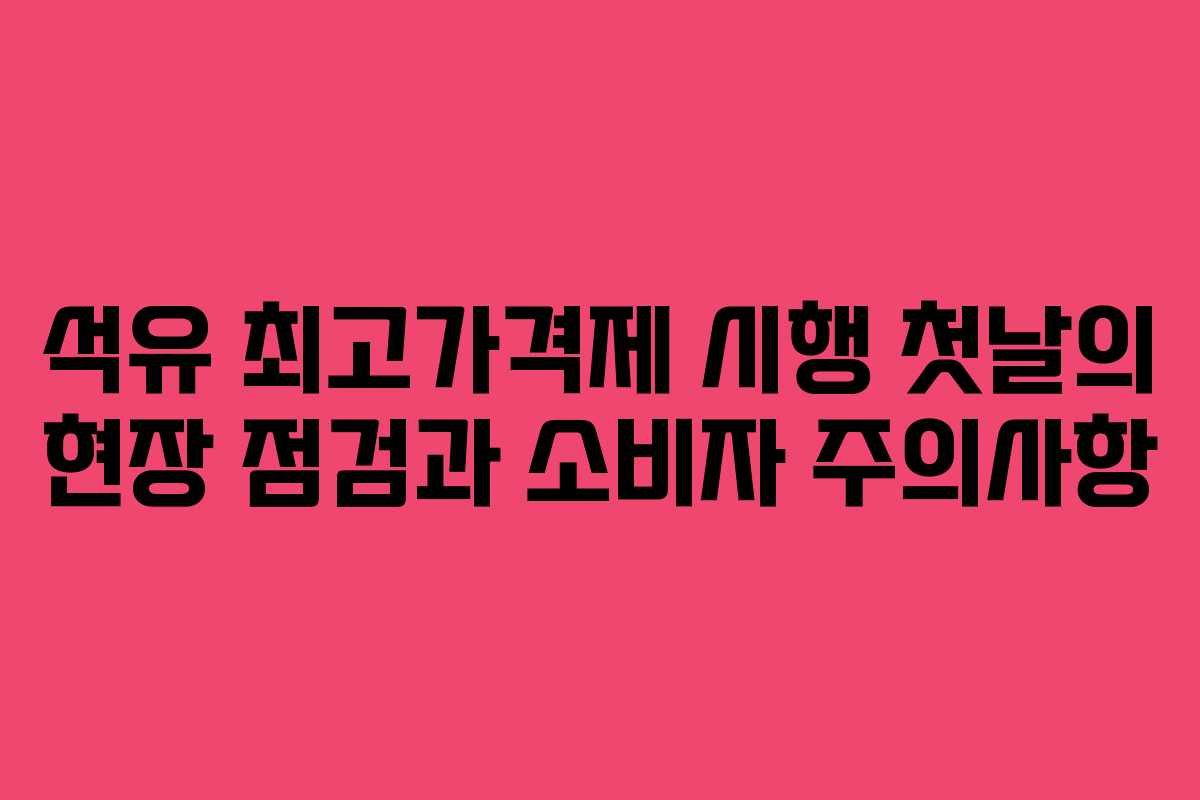 석유 최고가격제 시행 첫날의 현장 점검과 소비자 주의사항