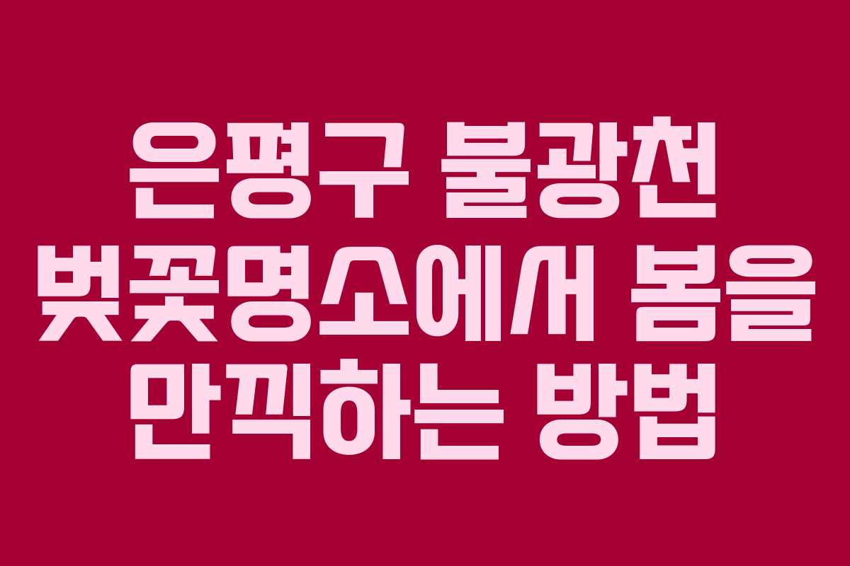 은평구-불광천-벚꽃명소에서-봄을-만끽하는-방법