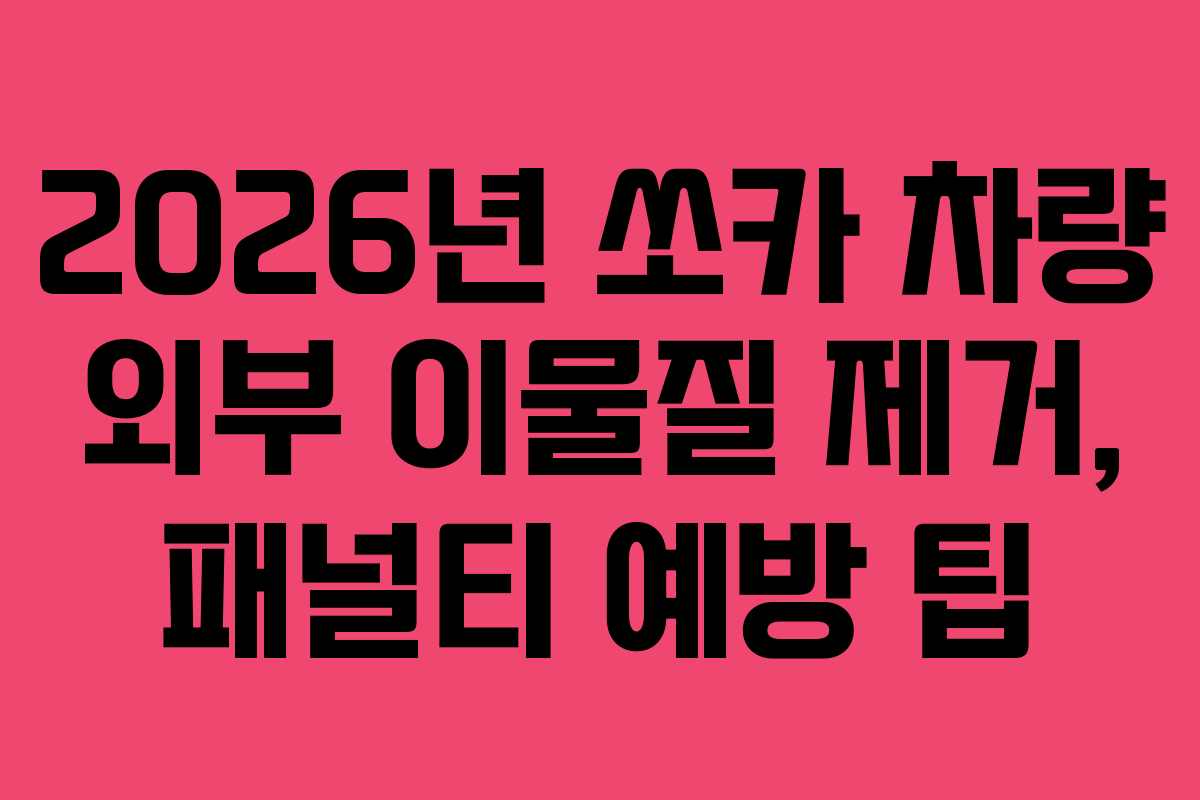 2026년 쏘카 차량 외부 이물질 제거, 패널티 예방 팁