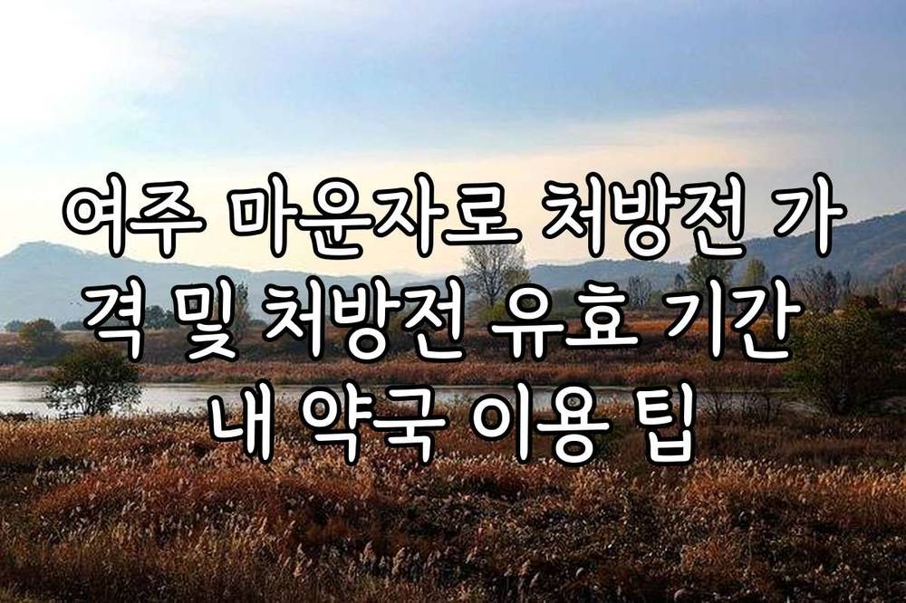 여주 마운자로 처방전 가격 및 처방전 유효 기간 내 약국 이용 팁