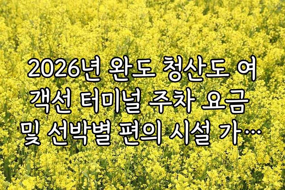 2026년 완도 청산도 여객선 터미널 주차 요금 및 선박별 편의 시설 가이드