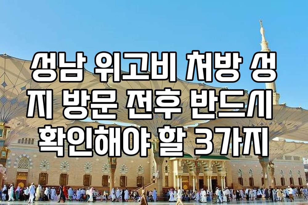 성남 위고비 처방 성지 방문 전후 반드시 확인해야 할 3가지