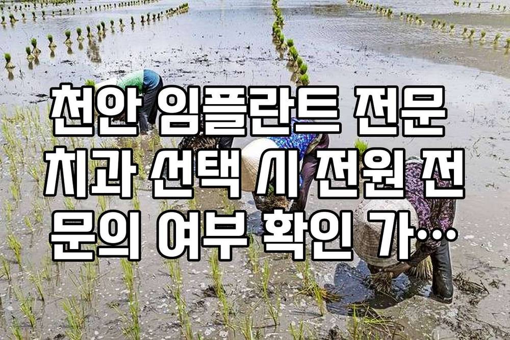 천안 임플란트 전문 치과 선택 시 전원 전문의 여부 확인 가이드