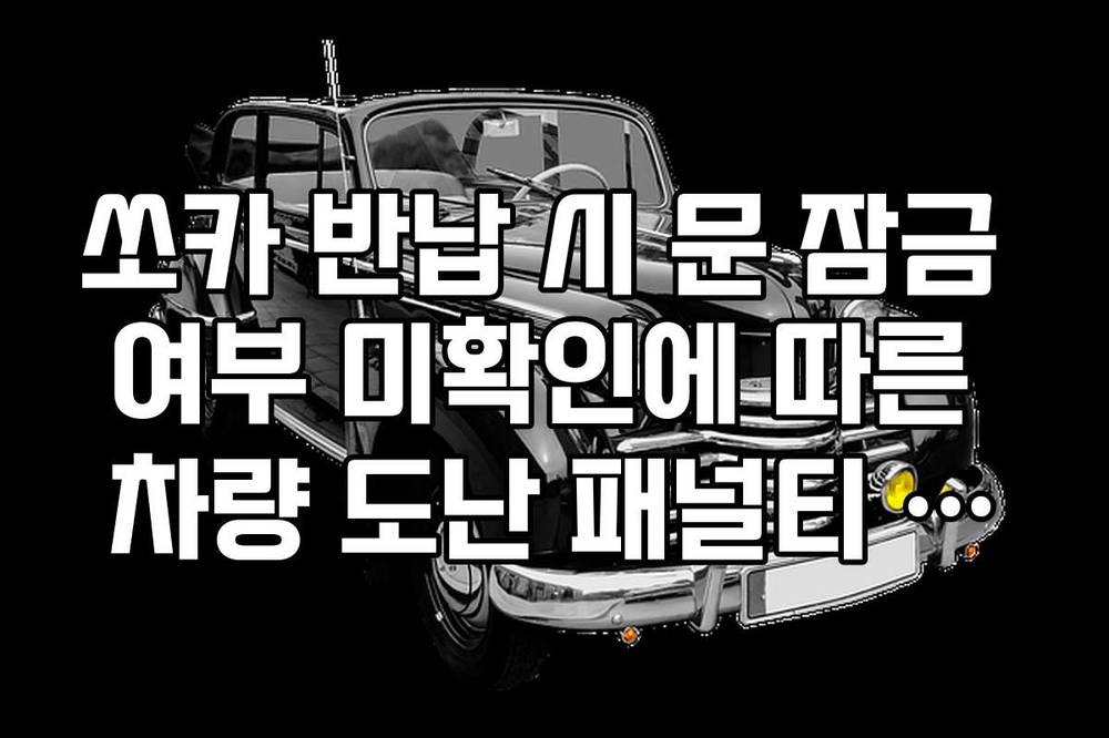 쏘카 반납 시 문 잠금 여부 미확인에 따른 차량 도난 패널티 방지 팁