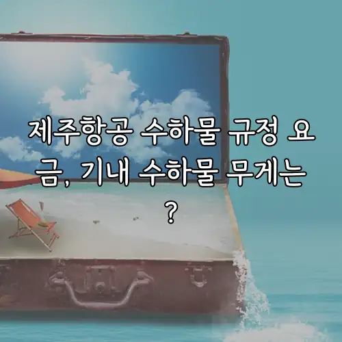 제주항공 수하물 규정 요금, 기내 수하물 무게는?