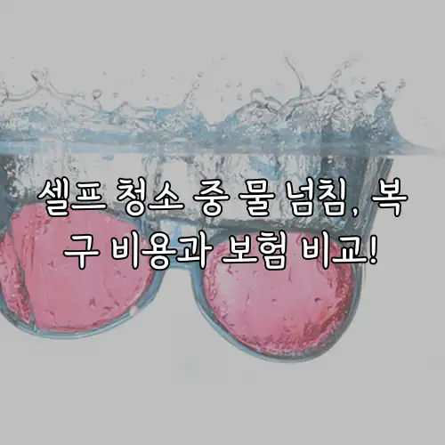 셀프 청소 중 물 넘침, 복구 비용과 보험 비교!