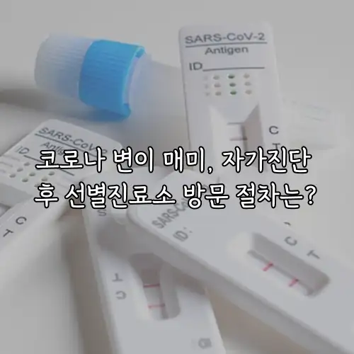 코로나 변이 매미, 자가진단 후 선별진료소 방문 절차는?