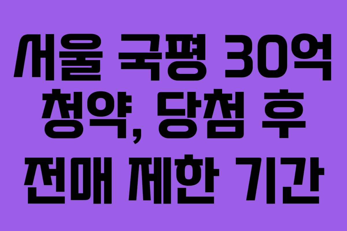 서울-국평-30억-청약,-당첨-후-전매-제한-기간