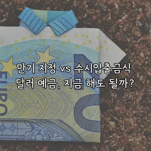 만기 지정 vs 수시입출금식 달러 예금, 지금 해도 될까?