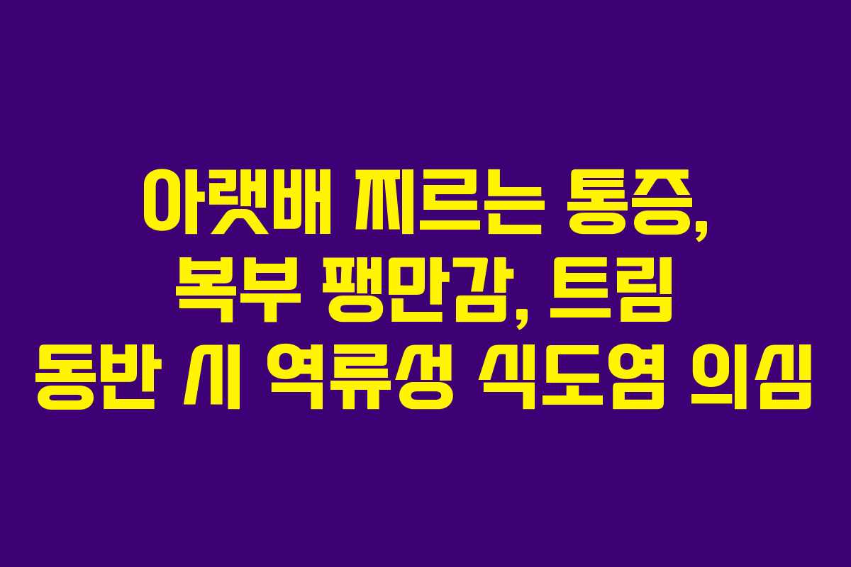 아랫배-찌르는-통증,-복부-팽만감,-트림-동반-시-역류성-식도염-의심